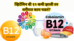 नसांपासून मेंदूपर्यंत सर्वांचे कार्य बिघडतं! व्हिटॅमिन बी १२ ची कमतरता नेमकी किती घातक आहे हे जाणून तुम्हीही थक्क व्हाल