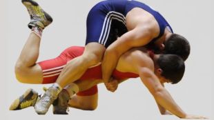 nmmc-seals-wrestling-arena-sanpada