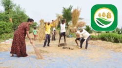 शेतकऱ्यांचा नवा डिजिटल फ्रेंड कोण बनले? जाणून घ्या…शेतकऱ्यांकडून का करत आहेत डिजिटल मित्राचा वापर…