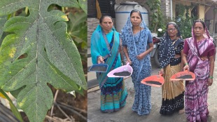 Ash flying from the boiler of Ayan Multitrade factory in Lukia created serious pollution problem Administration negligence nandurbar