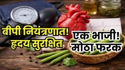 वाढणार नाही बीपी, हार्ट अटॅकचा धोकाही होईल कमी; फक्त ‘या’ भाजीचं करा नियमित सेवन, आचार्य बालकृष्ण सांगतात, वजनही होईल झपाट्याने कमी