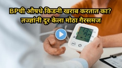 BPची औषधे किडनी खराब करतात का? तज्ज्ञांनी दूर केला मोठा गैरसमज, जाणून घ्या सत्य