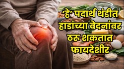 वाढत्या वयातही हाडं राहतील मजबूत! फक्त ‘हे’ पदार्थ खा; थंडीत हाडांचं कडकड वाजणं होईल बंद, ठिसूळ हाडंही होतील मजबूत!