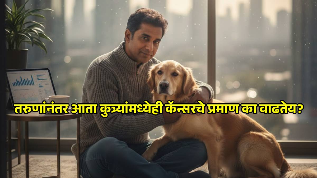 Dog Cancer Human Health