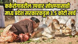 Cow products to cure cancer mp govt news