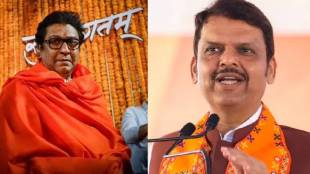 What Devendra Fadnavis Said?