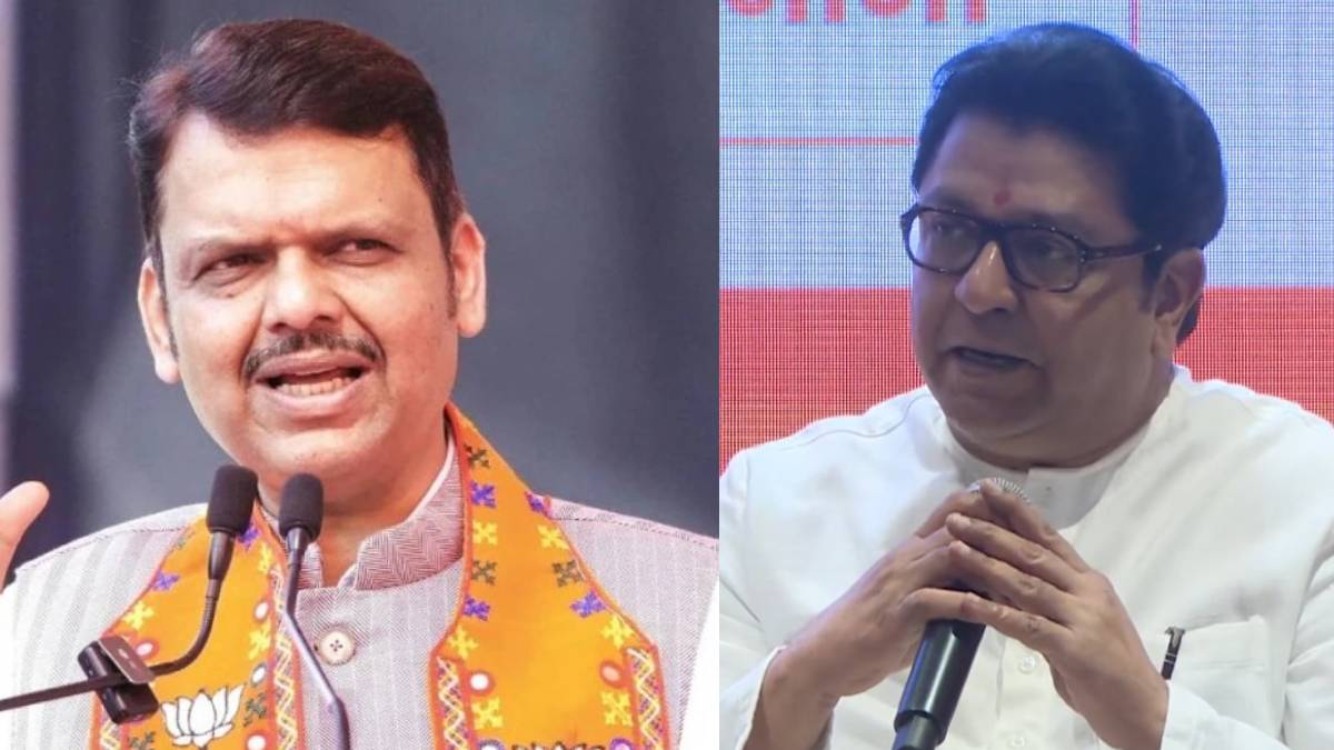 Devendra Fadnavis On Raj Thackeray