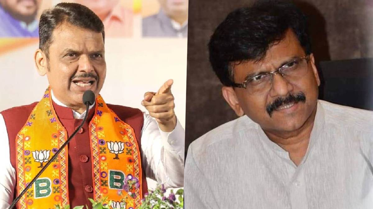 Devendra Fadnavis On Sanjay Raut