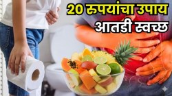आतड्यांना चिकटलेला मल पडेल बाहेर, ‘या’ ५ फळांपैकी एक फळ खा, जोर न देताही पोट होईल साफ; फक्त २० रुपये करा खर्च