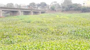 Godavari water pollution is a growing concern ahead of the upcoming Kumbh Mela celebrations.