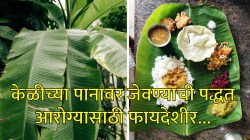 केळीच्या पानावर जेवण्याचे आरोग्यासाठी असंख्य फायदे, म्हणून हजारो वर्षांपासून सुरू आहे ही पद्धत… कॅन्सर डायबिटीजपासूनही होतो बचाव