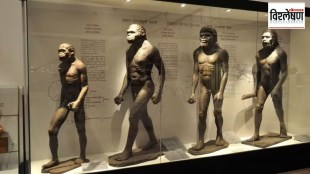 loksatta explained How did humans lose fur at the end of evolution print exp