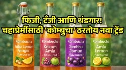 Kombucha Tea: कोम्बुचा-किण्वन केलेला चहा किंवा विरजण लावलेला चहा तुम्हाला माहीत आहे का? त्यामागचे विज्ञान काय?