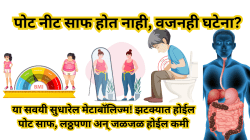हेल्दी आहार घेऊनही वजन घटत नाहीये? या साध्या सवयी मेटाबॉलिज्म वाढवतील; पोट साफ होऊन लठ्ठपणा आणि अॅसिडिटी होईल कमी