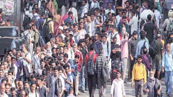 सब घोडे बारा टक्के!