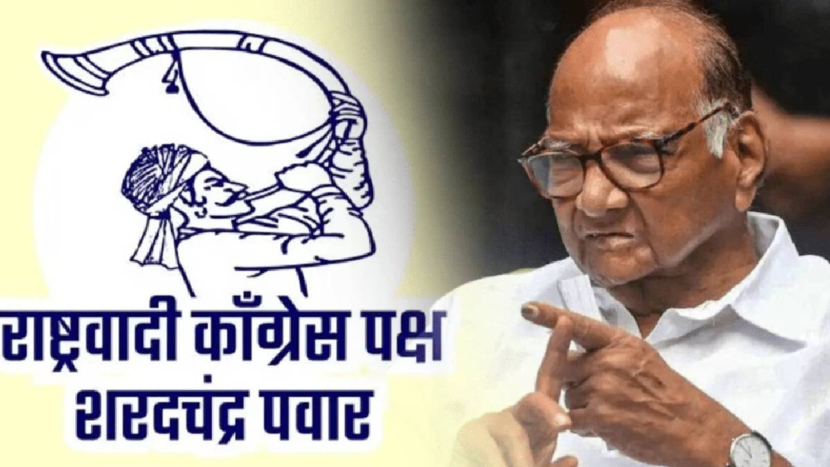 Maharashtra Nagar Parishad Election 2025 Results NCP SP Winner List