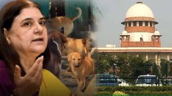 भटक्या कुत्र्यांबाबत मनेका गांधींनी केलेल्या वक्तव्यावरुन सर्वोच्च न्यायालयाचा संताप, “तुम्ही…”