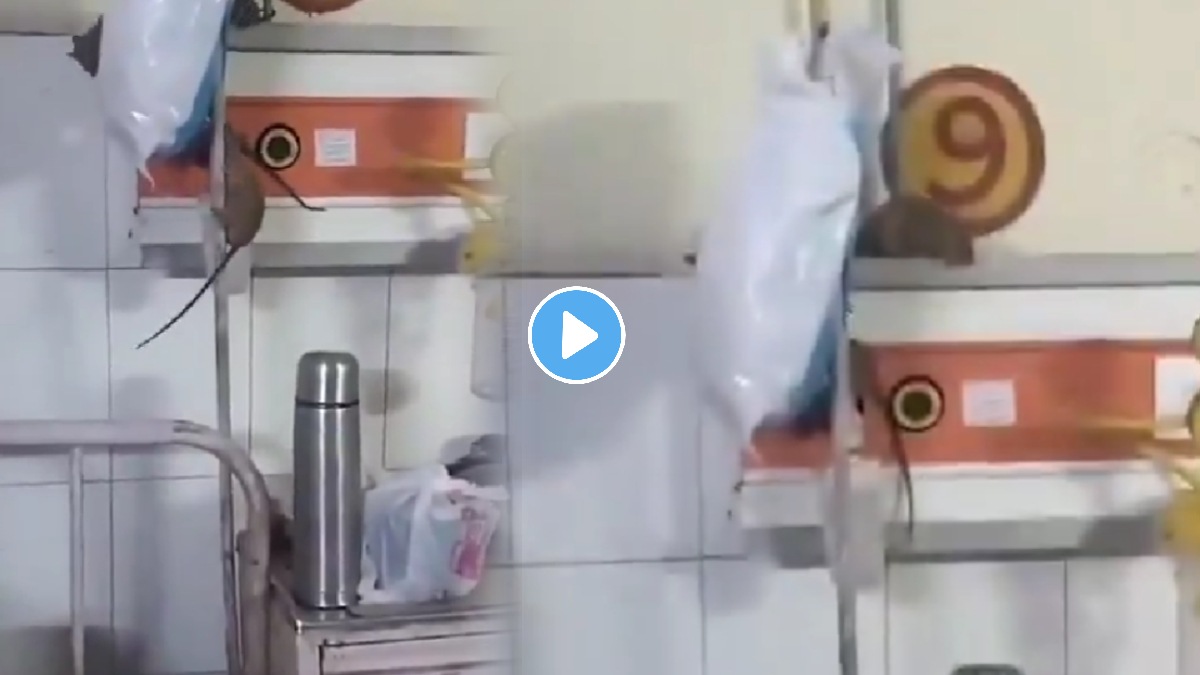 Rats inside a hospital ward raise serious concerns over hygiene and patient safety at Gonda Medical College.