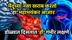 मेंदूच्या नसा खराब करणारा ‘हा’ आजार आहे महाभयंकर, २० वर्षे आधीच डोळ्यात दिसतात ‘ही’ गंभीर लक्षणे, लगेच जाणून घ्या