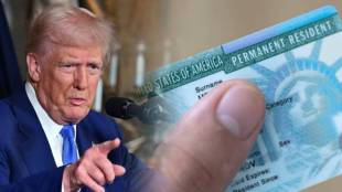 donald trump green card loksatta news