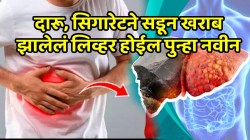 लिव्हर कधीच होणार नाही खराब, दारू, सिगारेटने सडून खराब झालेलं लिव्हर होईल पुन्हा नवीन; फक्त ‘हे’ ड्रायफ्रुट्स खा
