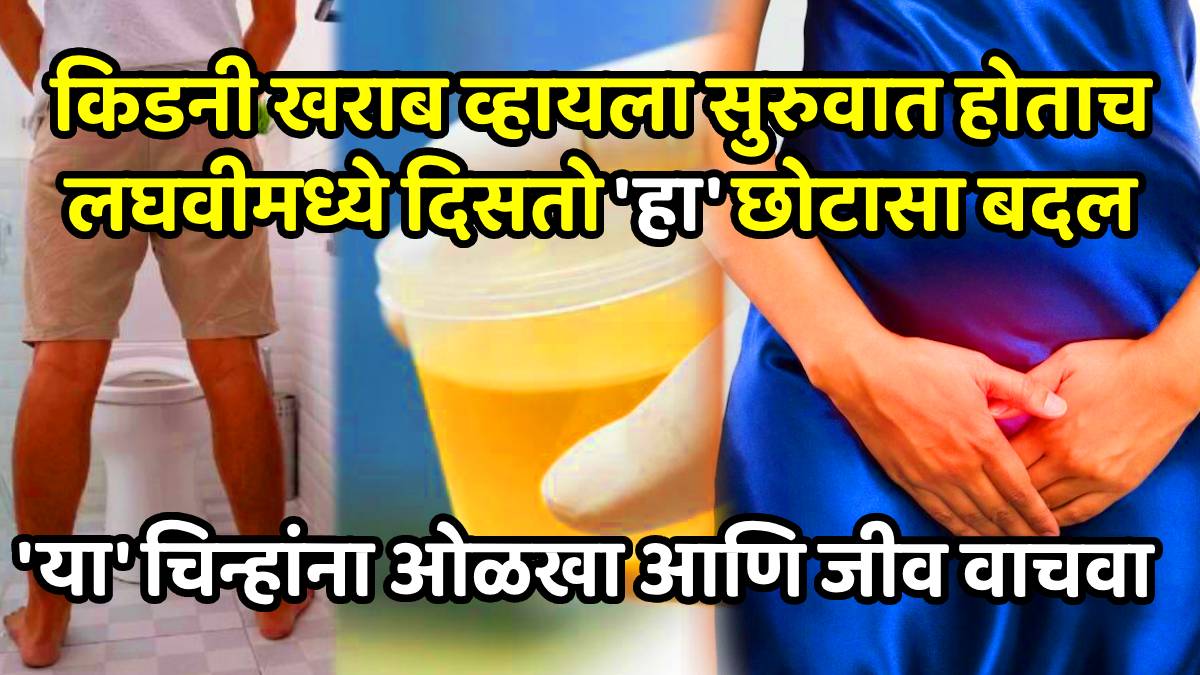 Urine foam warning kidney disease diabetes tests in hindi what does foamy urine indicate
