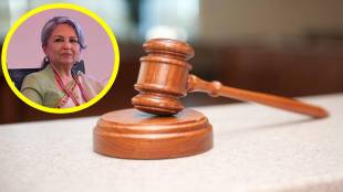 Sharmila Tagore in court, Stray dogs Supreme Court, stray dog control India, Sharmila Tagore stray dog petition, managing aggressive dogs, animal birth control laws, stray dog behavioral care, public safety stray dogs, dog population management India, Indian stray dog policy, Supreme Court animal welfare cases, शर्मिला टागोर, सर्वोच्च न्यायालय,