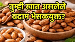 बदाम खरेदी करण्यापूर्वी तपासून पाहा ‘या’ गोष्टी; भेसळयुक्त बदाम सहज ओळखा
