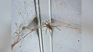 dust in home, controlling dust indoors, spider webs and dust, air conditioning benefits, reducing indoor dust, household dust prevention, dust accumulation spots,