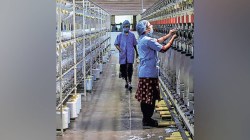 व्यापार कराराअभावी ३० लाख नोकऱ्या धोक्यात?