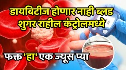 डायबिटीज होणार नाही, ब्लड शुगर राहील कंट्रोलमध्ये फक्त ‘हा’ एक ज्यूस प्या, परिणाम पाहून तुम्हीही थक्क व्हाल