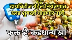 डायबिटीज येईल नियंत्रणात; ब्लड शुगरही वाढणार नाही, फक्त ‘हे’ कडधान्य खायला सुरुवात करा, परिणाम पाहून थक्क व्हाल