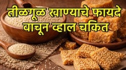 हिवाळ्यात तिळगूळ खाण्याचे असंख्य फायदे तुम्हाला ठाऊकच नाहीत; जाणून घ्या
