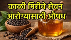 काळी मिरी खाल, तर निरोगी राहाल; मधासह सेवन करणं खूपच फायदेशीर