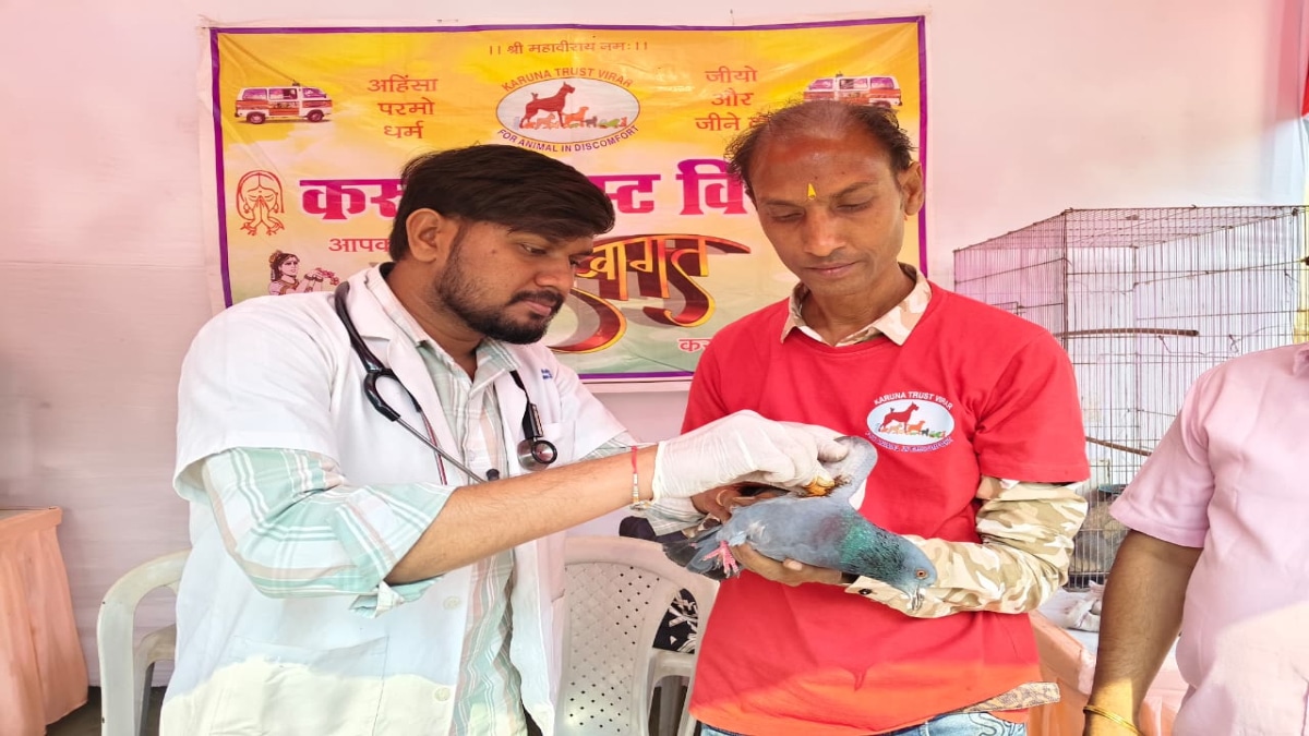 Karuna Trust Virar free treatment for injured birds Makar Sankranti 2026