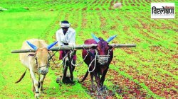 विश्लेषण : सूक्ष्म सिंचनाच्या निधीचा प्रवाह का आटला?