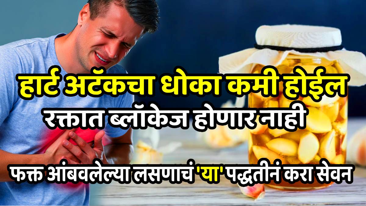 health how fermented garlic clears artery blockage and lowers blood pressure cholestrol