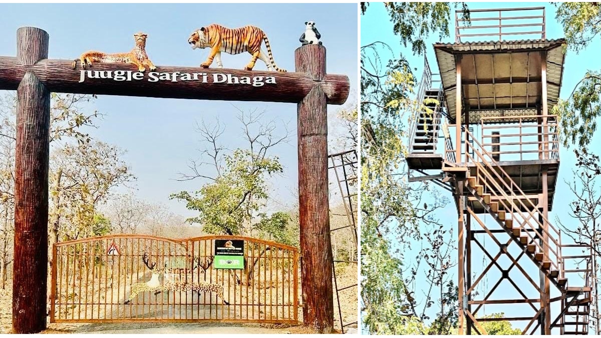 Bor tiger reserve new jungle safari gates wildlife tourism wildlife sanctuary project tourism Wardha