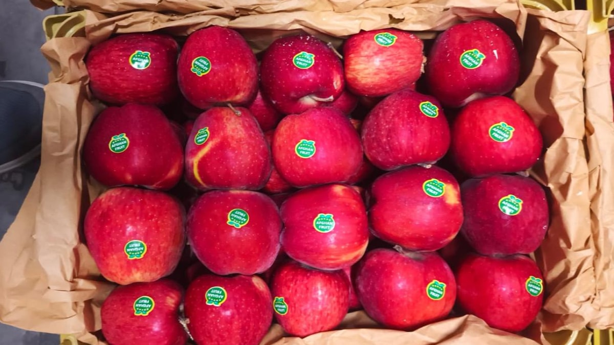 iran protests impact apple prices in india market yard pune