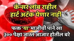 कॅन्सर राहील लांब, येणार नाही हार्ट अटॅक अन् डोळेही आयुष्यभर राहतील चांगले; फक्त खा ‘या’ भाजीची पाने, ३०० पेक्षा जास्त आजार होतील बरे
