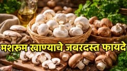 थांबा… थांबा… मशरूम आवडतं म्हणून सतत खाता? ‘या’ आरोग्य समस्या असलेल्यांनी खाणं टाळा