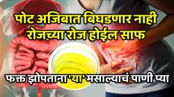 पोट अजिबात बिघडणार नाही, रोजच्या रोज होईल साफ; फक्त झोपताना ‘या’ मसाल्याचं पाणी प्या, सकाळी सगळी घाण बाहेर पडेल