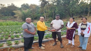 konkan raigad roha farmer organic strawberry farming success story nitin patil guide