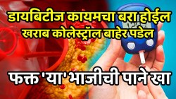 डायबिटीज कायमचा बरा होईल; खराब कोलेस्ट्रॉल बाहेर पडेल, फक्त ‘या’ भाजीच्या पानांचं सेवन करा, परिणाम पाहून तुम्हीही थक्क व्हाल
