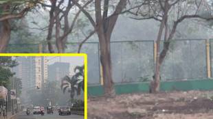 Navi Mumbai pollution, Bonkode fog issue, MIDC chemical discharge, Navi Mumbai environmental concerns, pollution control Navi Mumbai, chemical factory pollution,