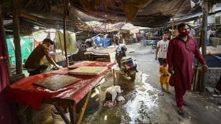 meat sale restriction malegaon republic day festivals closure