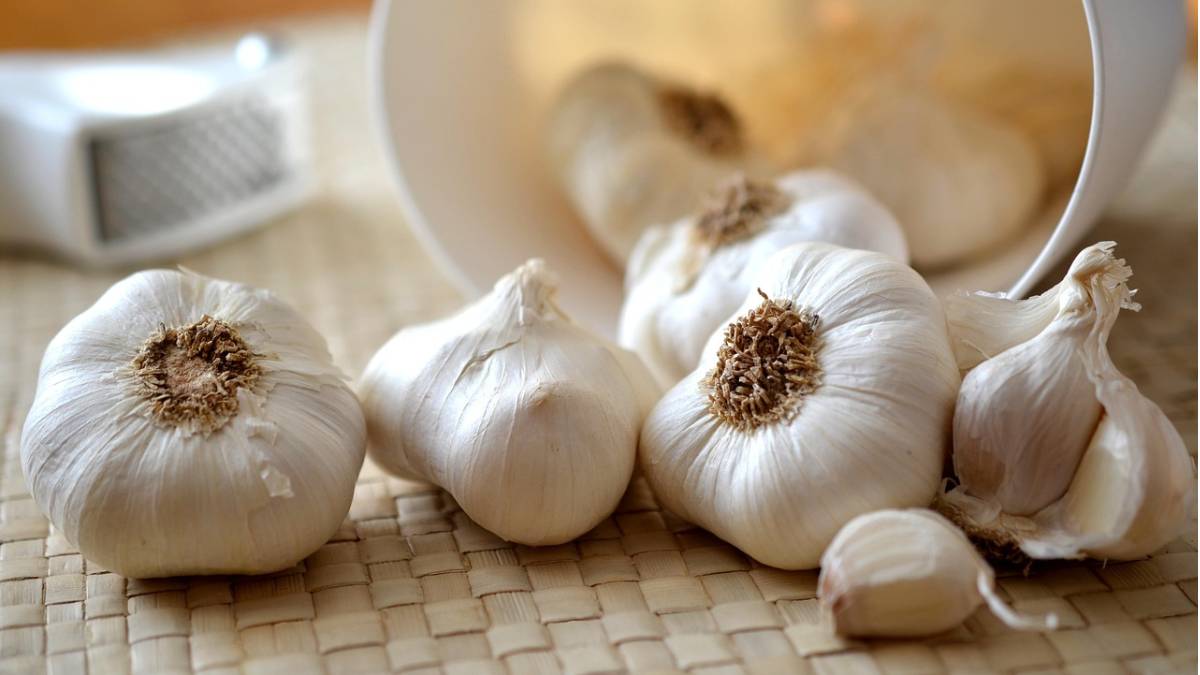 Chinese garlic market, domestic garlic prices, Mumbai garlic supply, garlic import impact, hotel garlic demand, onion potato market Mumbai, Indian garlic shortage, garlic price increase, garlic trade concerns, APMC garlic market, मुंबई एपीएमसी, कांदा-बटाटा बाजार,