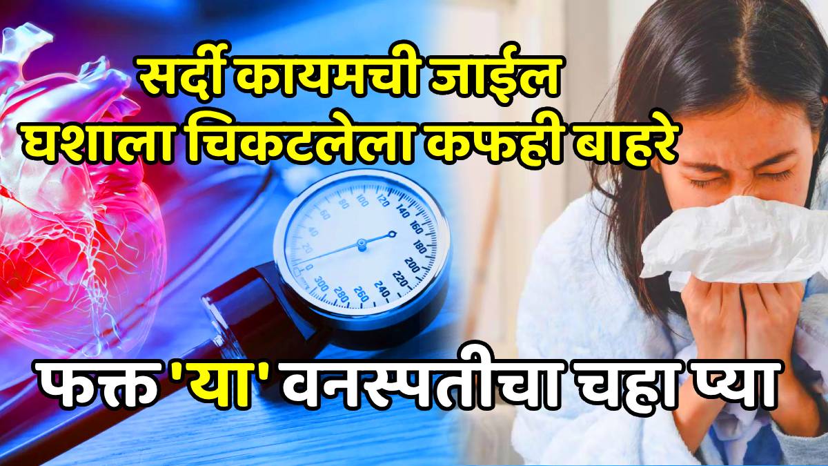 Ashwagandha tea benefits stress sleep immunity how to make ashwagandha