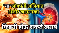 तुम्हीही पौष्टीक समजून अंजीर खाता? किडनी होऊ शकते खराब! कोणत्या लोकांनी अंजिर अजिबात खाऊ नये लगेच जाणून घ्या