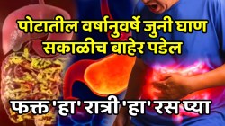 पोटातील वर्षानुवर्षे जुनी घाण सकाळीच बाहेर पडेल; आतडे स्वच्छ होतील, फक्त ‘हा’ रात्री ‘हा’ रस प्या, गॅस, अ‍ॅसिडिटी कधीच होणार नाही